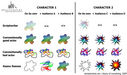 Filename=secretoftheuniverse.jpg
Filesize=47KiB
Dimensions=600x353
Date added=Jun 03, 2011 secretoftheuniverse.jpg