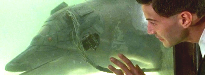 So long, and thanks for all the phish johnny mnemonic dolphin